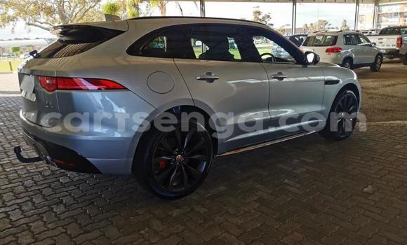 Acheter Occasion Voiture Jaguar F-Pace Blanc à Mbabane, Manzini Acheter Occasion Voiture Jaguar F-Pace Blanc à Mbabane, Manzini