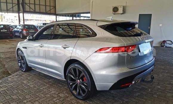 Acheter Occasion Voiture Jaguar F-Pace Blanc à Mbabane, Manzini Acheter Occasion Voiture Jaguar F-Pace Blanc à Mbabane, Manzini