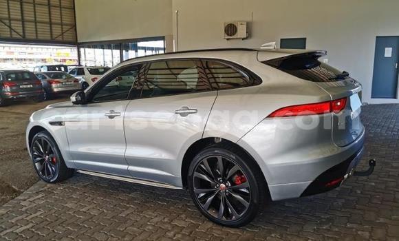 Acheter Occasion Voiture Jaguar F-Pace Blanc à Mbabane, Manzini Acheter Occasion Voiture Jaguar F-Pace Blanc à Mbabane, Manzini