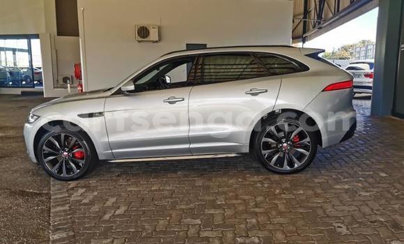 Acheter Occasion Voiture Jaguar F-Pace Blanc à Mbabane, Manzini Acheter Occasion Voiture Jaguar F-Pace Blanc à Mbabane, Manzini