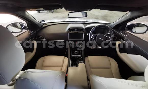 Acheter Occasion Voiture Jaguar F-Pace Blanc à Mbabane, Manzini Acheter Occasion Voiture Jaguar F-Pace Blanc à Mbabane, Manzini