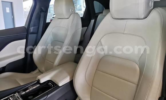 Acheter Occasion Voiture Jaguar F-Pace Blanc à Mbabane, Manzini Acheter Occasion Voiture Jaguar F-Pace Blanc à Mbabane, Manzini