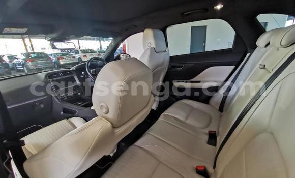 Acheter Occasion Voiture Jaguar F-Pace Blanc à Mbabane, Manzini Acheter Occasion Voiture Jaguar F-Pace Blanc à Mbabane, Manzini