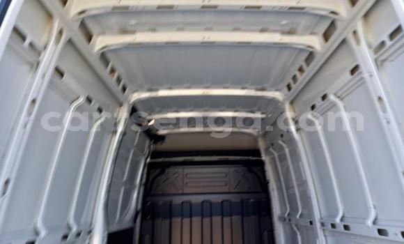 Acheter Occasion Voiture IVECO Massif Blanc à Ezulwini, Hhohho Acheter Occasion Voiture IVECO Massif Blanc à Ezulwini, Hhohho