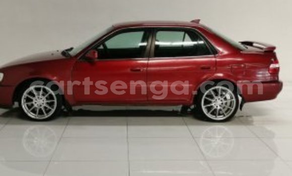 Buy Used Toyota Corolla Other Car in Mbabane in Manzini Buy Used Toyota Corolla Other Car in Mbabane in Manzini