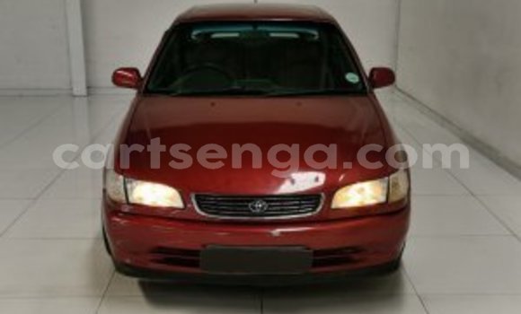 Buy Used Toyota Corolla Other Car in Mbabane in Manzini Buy Used Toyota Corolla Other Car in Mbabane in Manzini