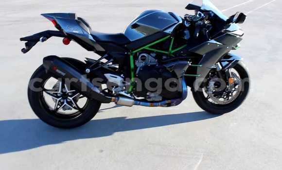 Medium with watermark kawasaki ninja manzini mbabane 24574