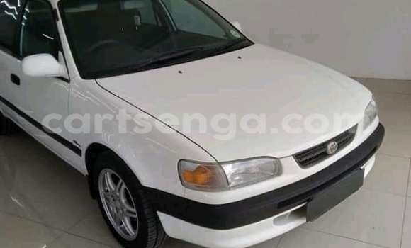 Buy Used Toyota Corolla White Car in Mbabane in Manzini