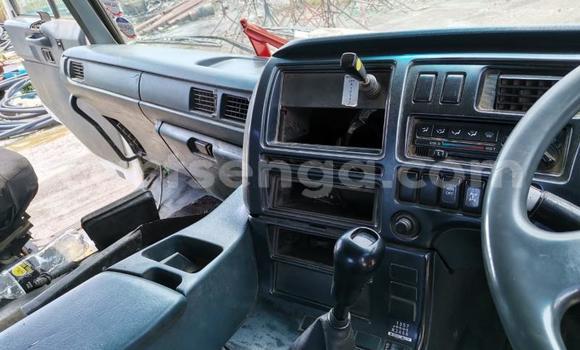 Buy Used Nissan UD White Truck in Big Bend in Lubombo Buy Used Nissan UD White Truck in Big Bend in Lubombo