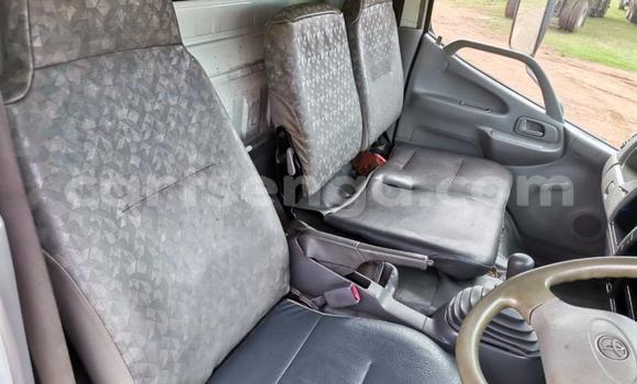 Buy Used Nissan UD Other Truck in Big Bend in Lubombo District Buy Used Nissan UD Other Truck in Big Bend in Lubombo District