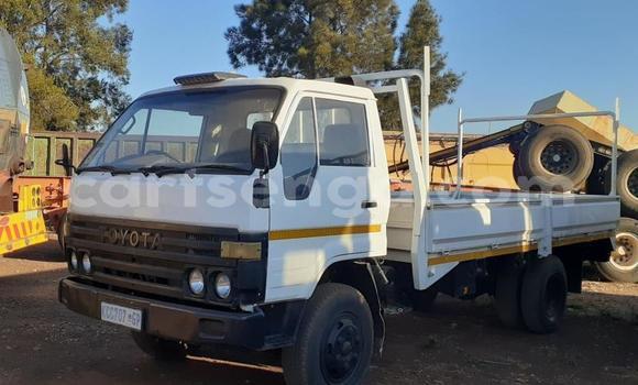 Buy Used Toyota Dyna White Truck in Big Bend in Lubombo District