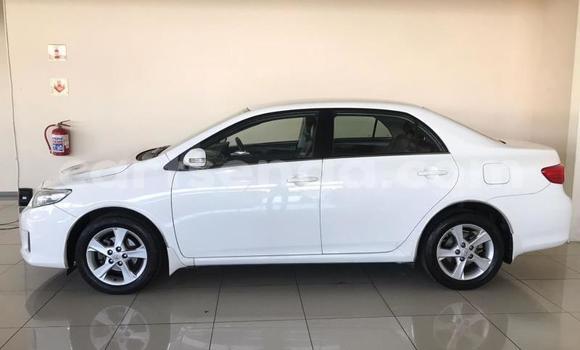 Buy Used Toyota Corolla White Car in Mbabane in Manzini Buy Used Toyota Corolla White Car in Mbabane in Manzini