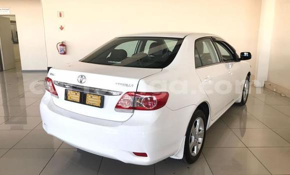 Buy Used Toyota Corolla White Car in Mbabane in Manzini Buy Used Toyota Corolla White Car in Mbabane in Manzini