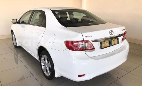 Buy Used Toyota Corolla White Car in Mbabane in Manzini Buy Used Toyota Corolla White Car in Mbabane in Manzini