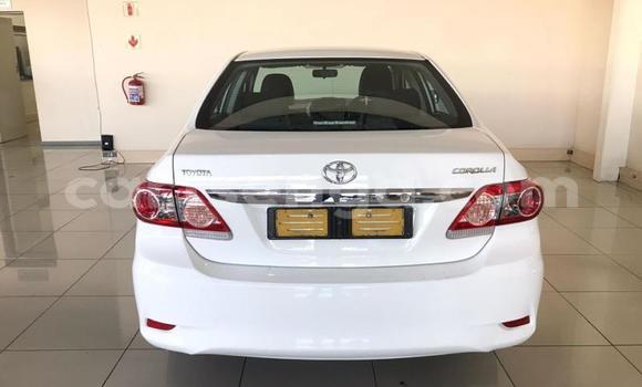 Buy Used Toyota Corolla White Car in Mbabane in Manzini Buy Used Toyota Corolla White Car in Mbabane in Manzini