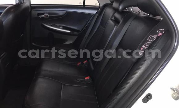 Buy Used Toyota Corolla White Car in Mbabane in Manzini Buy Used Toyota Corolla White Car in Mbabane in Manzini