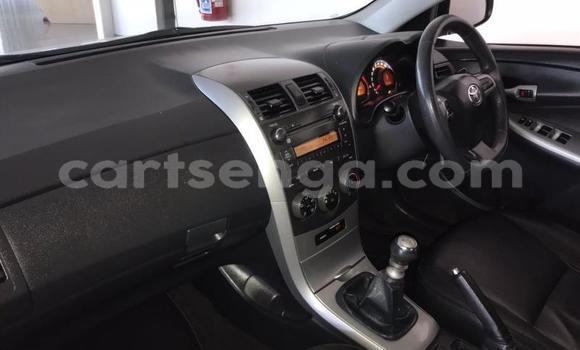 Buy Used Toyota Corolla White Car in Mbabane in Manzini Buy Used Toyota Corolla White Car in Mbabane in Manzini