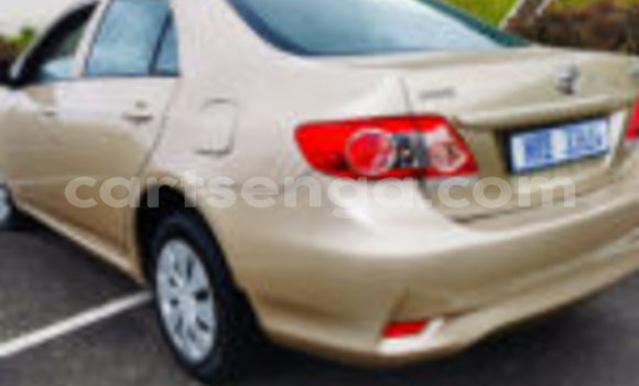 Buy Used Toyota Corolla Other Car in Mbabane in Manzini Buy Used Toyota Corolla Other Car in Mbabane in Manzini