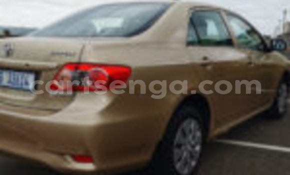 Buy Used Toyota Corolla Other Car in Mbabane in Manzini Buy Used Toyota Corolla Other Car in Mbabane in Manzini