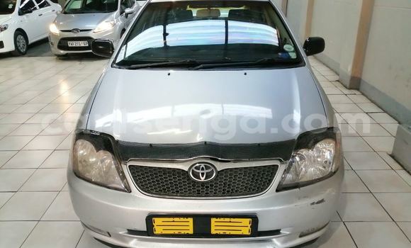 Buy Used Toyota Runx Silver Car in Ezulwini in Hhohho Buy Used Toyota Runx Silver Car in Ezulwini in Hhohho