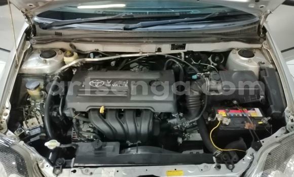 Buy Used Toyota Runx Silver Car in Ezulwini in Hhohho Buy Used Toyota Runx Silver Car in Ezulwini in Hhohho