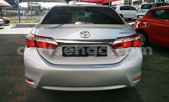 Buy Used Toyota Corolla Silver Car in Ezulwini in Hhohho Buy Used Toyota Corolla Silver Car in Ezulwini in Hhohho