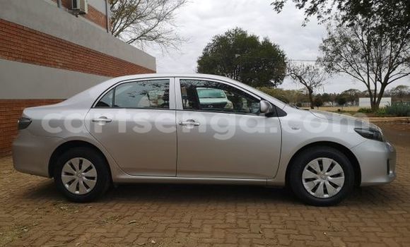 Buy Used Toyota Corolla Silver Car in Ezulwini in Hhohho Buy Used Toyota Corolla Silver Car in Ezulwini in Hhohho