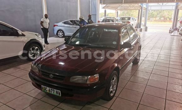 Buy Used Toyota Corolla Red Car in Mbabane in Manzini Buy Used Toyota Corolla Red Car in Mbabane in Manzini