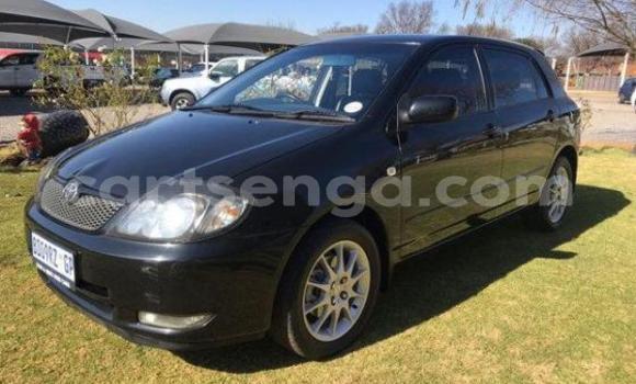 Buy Used Toyota Runx Black Car in Bulembu in Hhohho Buy Used Toyota Runx Black Car in Bulembu in Hhohho