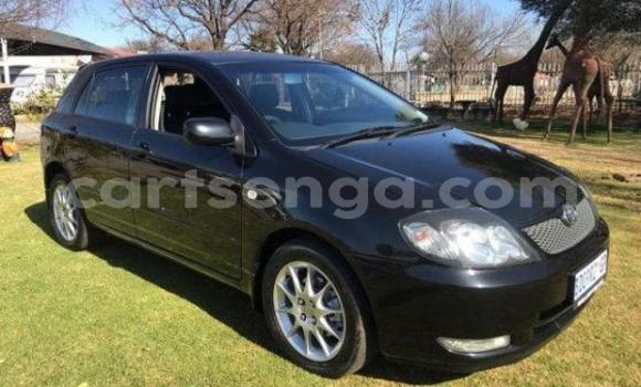 Buy Used Toyota Runx Black Car in Bulembu in Hhohho Buy Used Toyota Runx Black Car in Bulembu in Hhohho