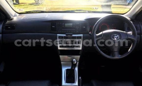 Buy Used Toyota Runx Black Car in Bulembu in Hhohho Buy Used Toyota Runx Black Car in Bulembu in Hhohho