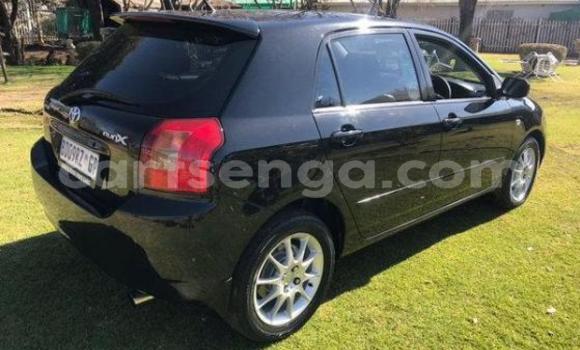 Buy Used Toyota Runx Black Car in Bulembu in Hhohho Buy Used Toyota Runx Black Car in Bulembu in Hhohho