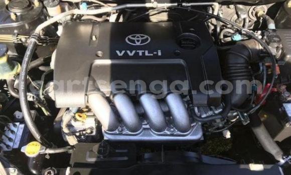 Buy Used Toyota Runx Black Car in Bulembu in Hhohho Buy Used Toyota Runx Black Car in Bulembu in Hhohho