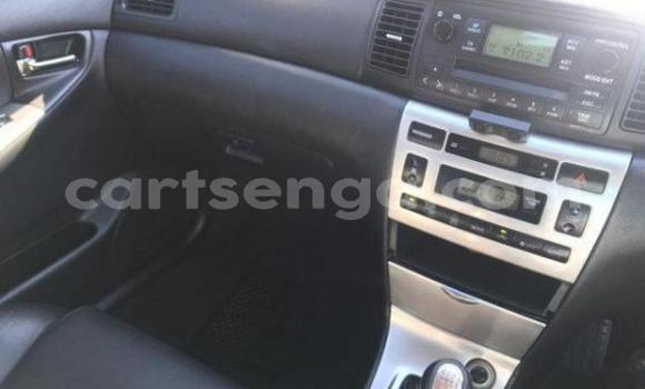 Buy Used Toyota Runx Black Car in Bulembu in Hhohho Buy Used Toyota Runx Black Car in Bulembu in Hhohho