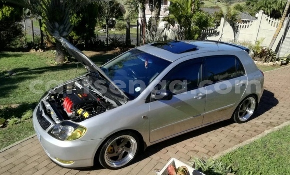 Nunua Ilio tumika Toyota Runx Silver Gari ndani ya Manzini nchini Manzini