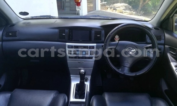 Buy Used Toyota Runx Silver Car in Manzini in Manzini Buy Used Toyota Runx Silver Car in Manzini in Manzini