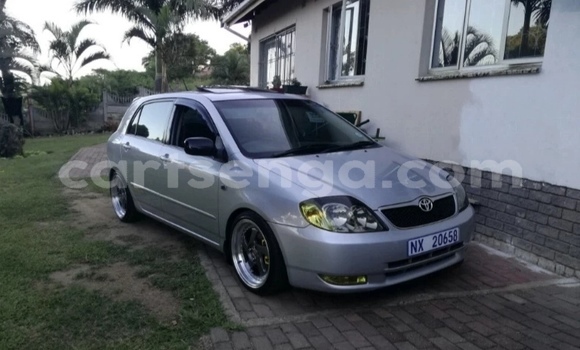 Buy Used Toyota Runx Silver Car in Manzini in Manzini Buy Used Toyota Runx Silver Car in Manzini in Manzini