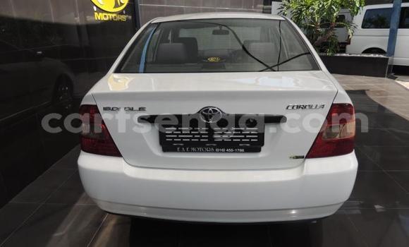 Buy Used Toyota Corolla White Car in Ezulwini in Hhohho