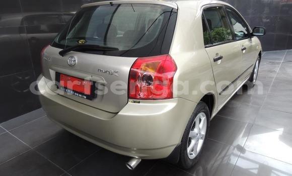 Nunua Ilio tumika Toyota Runx Silver Gari ndani ya Ezulwini nchini Hhohho