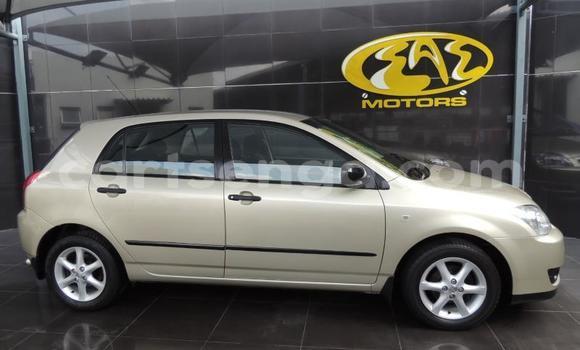 Buy Used Toyota Runx Silver Car in Ezulwini in Hhohho Buy Used Toyota Runx Silver Car in Ezulwini in Hhohho