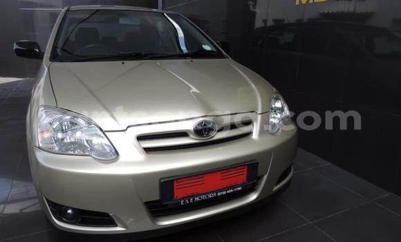 Buy Used Toyota Runx Silver Car in Ezulwini in Hhohho Buy Used Toyota Runx Silver Car in Ezulwini in Hhohho