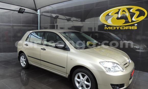 Buy Used Toyota Runx Silver Car in Ezulwini in Hhohho Buy Used Toyota Runx Silver Car in Ezulwini in Hhohho