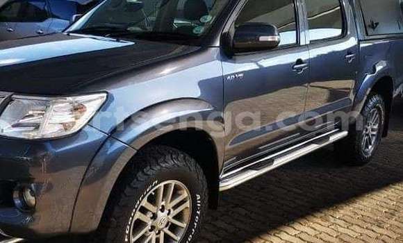Nunua Ilio tumika Toyota Hilux Other Gari ndani ya Manzini nchini Manzini