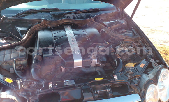 Buy Used Mercedes‒Benz CLK–Class Black Car in Pigg's Peak in Hhohho Buy Used Mercedes‒Benz CLK–Class Black Car in Pigg's Peak in Hhohho