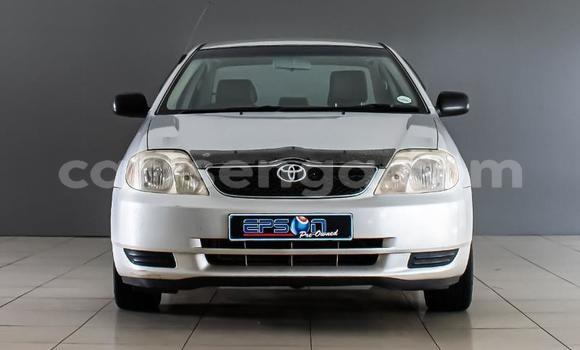 Nunua Ilio tumika Toyota Corolla Silver Gari ndani ya Ezulwini nchini Hhohho Nunua Ilio tumika Toyota Corolla Silver Gari ndani ya Ezulwini nchini Hhohho