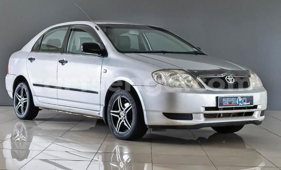 Nunua Ilio tumika Toyota Corolla Silver Gari ndani ya Ezulwini nchini Hhohho Nunua Ilio tumika Toyota Corolla Silver Gari ndani ya Ezulwini nchini Hhohho