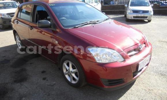 Nunua Ilio tumika Toyota Runx Red Gari ndani ya Bulembu nchini Hhohho Nunua Ilio tumika Toyota Runx Red Gari ndani ya Bulembu nchini Hhohho