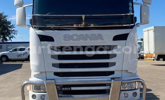 Acheter Occasion Utilitaire Scania R420 Blanc à Manzini, Manzini