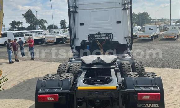 Nunua Ilio tumika Scania R420 White Lori ndani ya Mbabane nchini Manzini Nunua Ilio tumika Scania R420 White Lori ndani ya Mbabane nchini Manzini