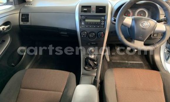 Buy Used Toyota Corolla Blue Car in Ezulwini in Hhohho Buy Used Toyota Corolla Blue Car in Ezulwini in Hhohho